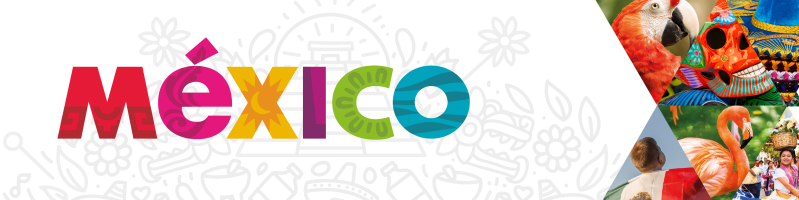 TreeSolution Academy